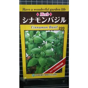 ３袋以上でクーポン割引 シナモン バジル 種 郵便は送料無料