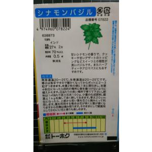 3袋以上でクーポン割引 シナモン バジル 種 ...の詳細画像1