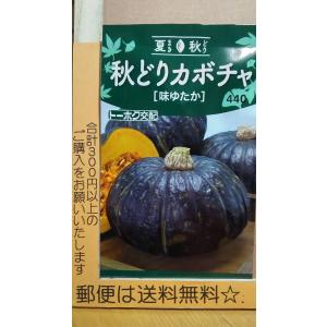 秋どり かぼちゃ 味ゆたか 南瓜 種 最安値 価格比較 Yahoo ショッピング 口コミ 評判からも探せる