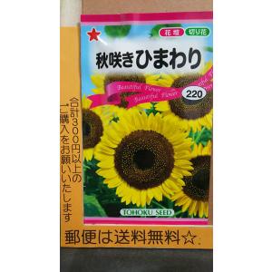 秋咲き ひまわり 向日葵 種 郵便は送料無料