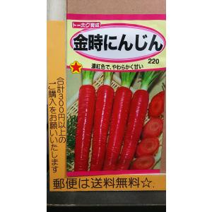 金時 にんじん 人参 種 郵便は送料無料