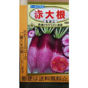 赤 大根 もみじ サラダに最適 種 郵便は