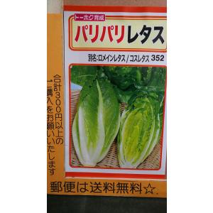 パリパリ レタス ロメイン コス 種 郵便は送料無料