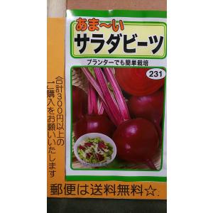 あま〜い サラダ ビーツ 種 郵便は送料無料