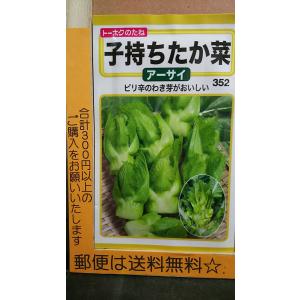 子持ち たか菜 アーサイ 種 郵便は送料無料