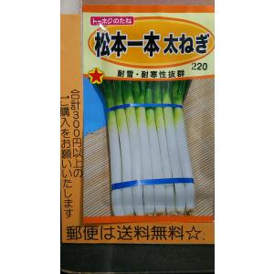 松本 一本 太 ねぎ 種 郵便は