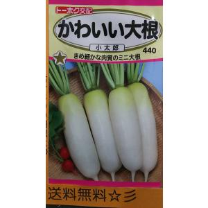 かわいい 大根 ミニ大根 小太郎 種 最安値 価格比較 Yahoo ショッピング 口コミ 評判からも探せる