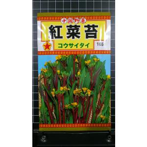 ３袋以上で割引 紅菜苔 コウサイタイ 種 郵便は