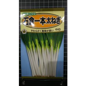 ３袋以上で割引 石倉 一本 太 ねぎ フトネギ 葱 種 郵便は