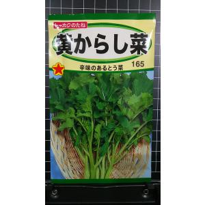 ３袋以上で割引 黄 からし菜 からしな とう菜 種 郵便は
