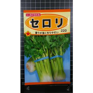 ３袋以上で割引 セロリ 種 郵便は