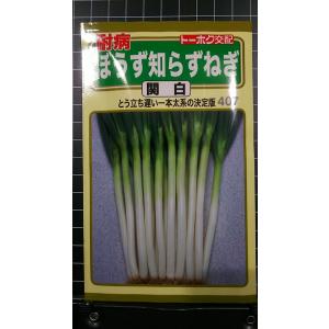 ３袋以上でクーポン割引 ぼうず 知らず ねぎ 関白 一本太葱 種 郵便は送料無料