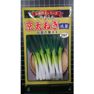 ３袋以上で割引 京 太ねぎ 祇園 フトネギ 葱 種 郵便は