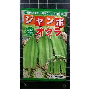 ３袋以上で割引 ジャンボ オクラ 種 郵便は
