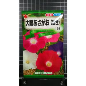 ３袋以上で割引 大輪 あさがお 混合 朝顔 種 郵便は