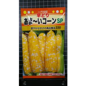 ３袋以上で割引 あま〜い コーン SP 早どり トウモロコシ