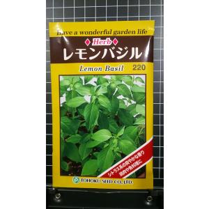 ３袋以上でクーポン割引 レモン バジル 種 郵便は送料無料