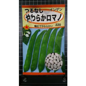 ３袋以上で割引 つるなし やわらか ロマノ インゲン