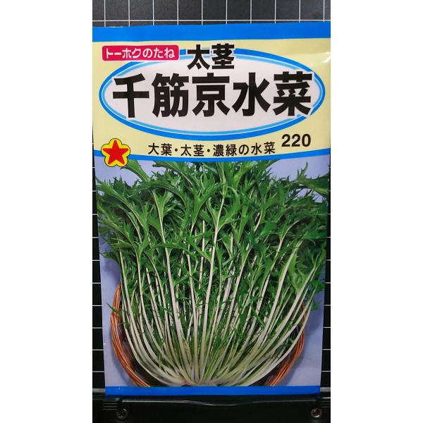 ３袋以上でクーポン割引 太茎 千筋 京水菜 みずな 水菜 種 郵便は送料無料