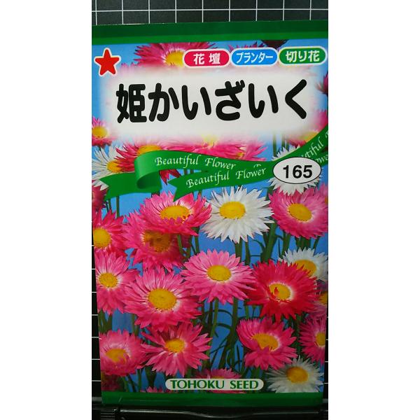 ３袋以上でクーポン割引 姫 かいざいく 貝細工 種 郵便は送料無料