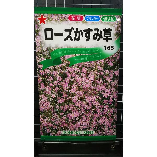 ３袋以上でクーポン割引 ローズ かすみ草 カスミソウ 種 郵便は送料無料