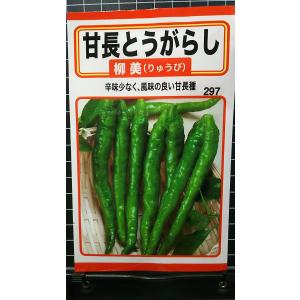 ３袋以上でクーポン割引 甘長 とうがらし 柳美 唐辛子 種 郵便は送料無料