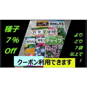 3袋以上でクーポン割引 うす皮 丸 ナス 薄皮...の詳細画像5