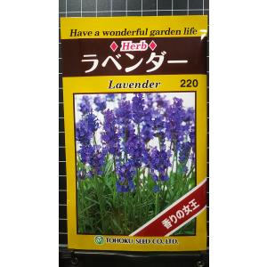 ３袋以上で割引 ラベンダー　香りの女王 種 郵便は