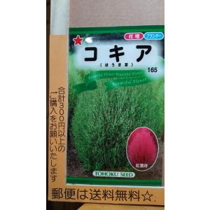 ほうき草 コキア 種 種子 の商品一覧 花 ガーデニング 通販 Yahoo ショッピング