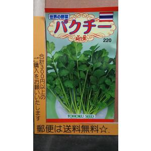パクチー種の商品一覧 通販 Yahoo ショッピング