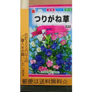 カンパニュラ 種 花の種 の商品一覧 種 種子 花 ガーデニング 通販 Yahoo ショッピング