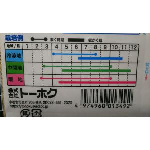 3袋以上でクーポン割引 みつば 三つ葉 三葉 ...の詳細画像2