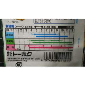 3袋以上でクーポン割引 赤丸はつか ラディッシ...の詳細画像2