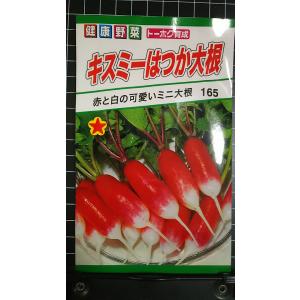 ３袋以上でクーポン割引 キスミー はつか ミニ ２０日 大根 種 郵便は送料無料