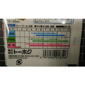 3袋以上でクーポン割引 キスミー はつか ミニ...の詳細画像2