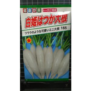 ３袋以上でクーポン割引 白姫はつか ミニ２０日 大根 種 郵便は送料無料