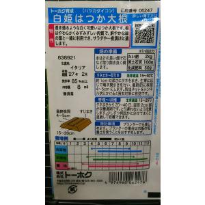 3袋以上でクーポン割引 白姫はつか ミニ20日...の詳細画像1