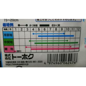 3袋以上でクーポン割引 白姫はつか ミニ20日...の詳細画像2