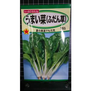 ３袋以上でクーポン割引 うまいな うまい菜 ふだん草 フダンソウ 種 郵便は送料無料