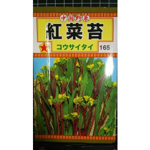 ３袋以上でクーポン割引 紅菜苔 コウサイタイ 種 郵便は送料無料