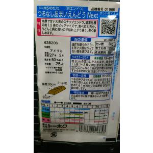 3袋以上でクーポン割引 つるなし あまい スナ...の詳細画像1