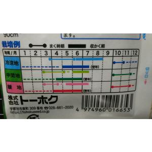 3袋以上でクーポン割引 つるなし あまい スナ...の詳細画像2