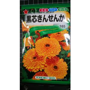 ３袋以上でクーポン割引 黒芯 きんせんか 金盞花 種 郵便は送料無料