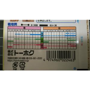 3袋以上でクーポン割引 甘とろ 太ねぎ ふとね...の詳細画像2