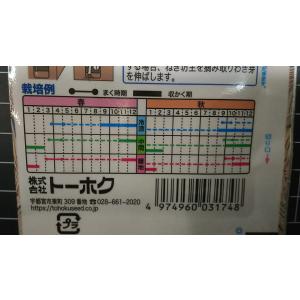 3袋以上でクーポン割引 下仁田 ねぎ 殿様ネギ...の詳細画像2