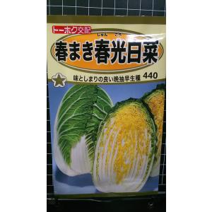 3袋以上でクーポン割引 春まき 春光 白菜 ハク...の商品画像