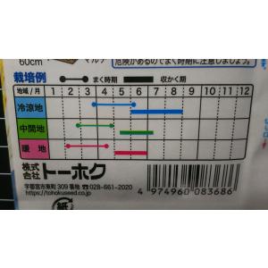 3袋以上でクーポン割引 春まき 春光 白菜 ハ...の詳細画像2
