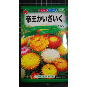 ３袋以上でクーポン割引 帝王 かいざいく 貝細工 種 郵便は送料無料