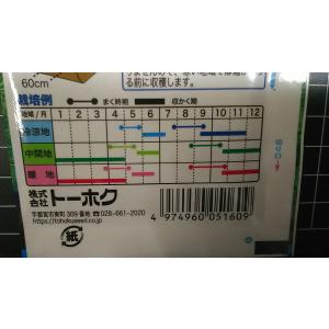 3袋以上でクーポン割引 広茎 かつお菜 かつお...の詳細画像2