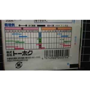 3袋以上でクーポン割引 かわいい ミニ 大根 ...の詳細画像2